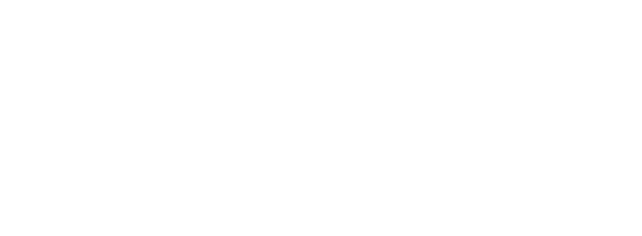 Zenith Vanguard logo