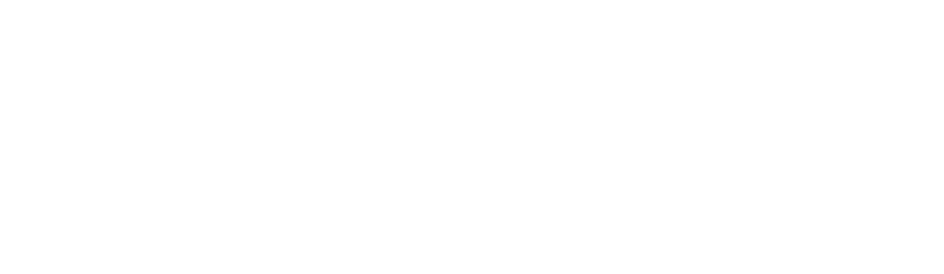 Zenith Vanguard logo